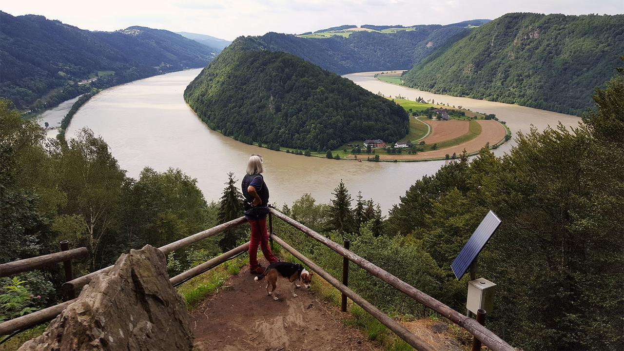 Gasthof 'Zum Alten Turm' Haslach an der Muhl Exterior photo